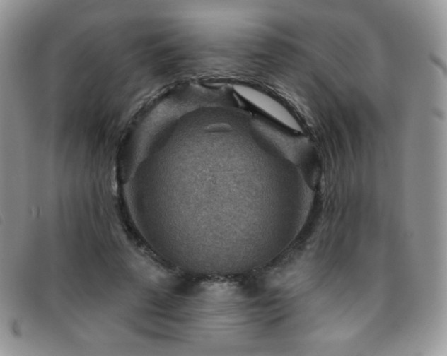 X0000095960689200801111402