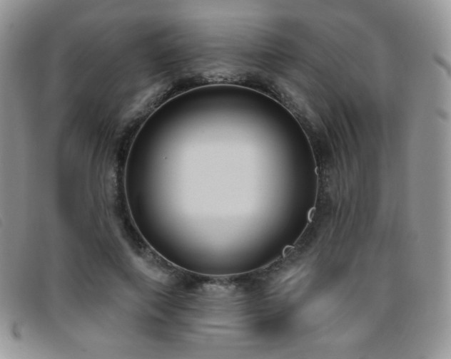 X0000095960690200801111402