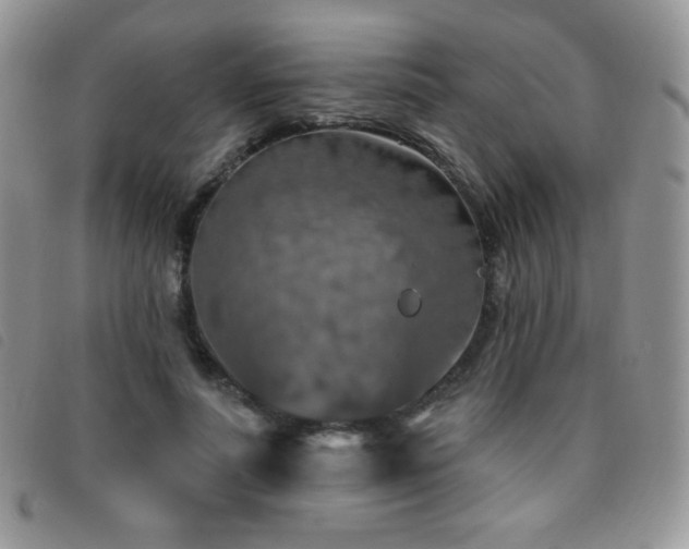 X0000095960691200801111402
