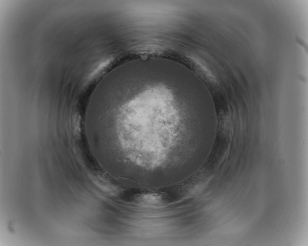 X0000095960692200801111402