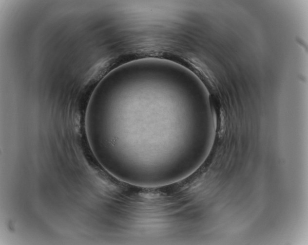 X0000095960693200801111402