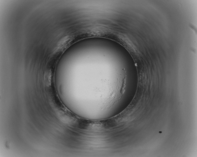 X0000095960694200801111402