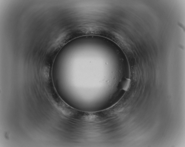X0000095960695200801111402