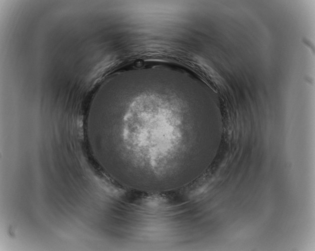 X0000095960696200801111402
