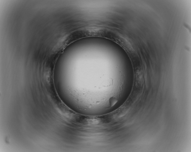 X0000095960698200801111402