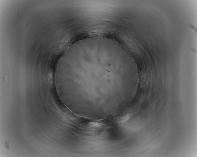 X0000095960699200801111402