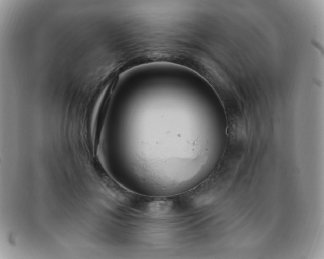 X0000095960700200801111402