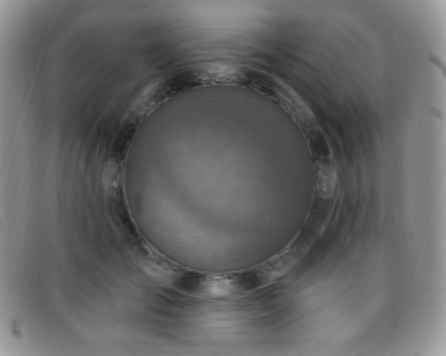 X0000095960701200801111402