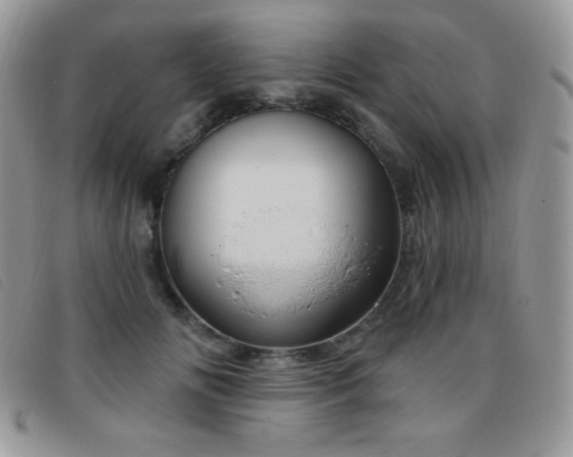 X0000095960702200801111402