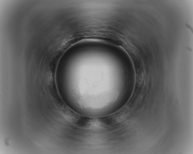 X0000095960704200801111402