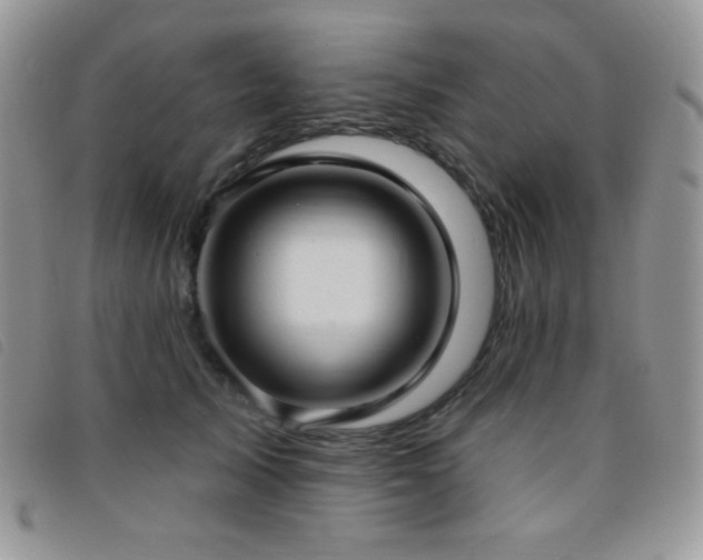 X0000095960705200801111402
