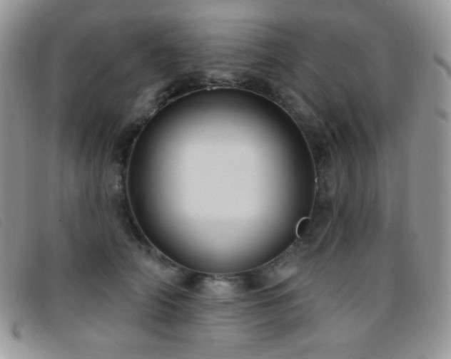 X0000095960706200801111402