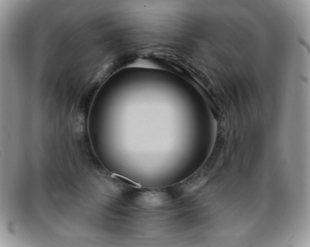 X0000095960708200801111402