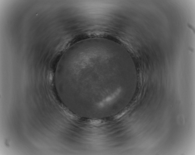 X0000095960709200801111402