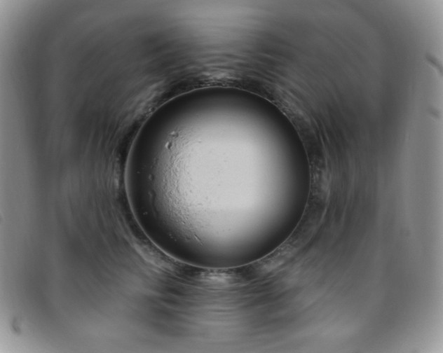 X0000095960710200801111402