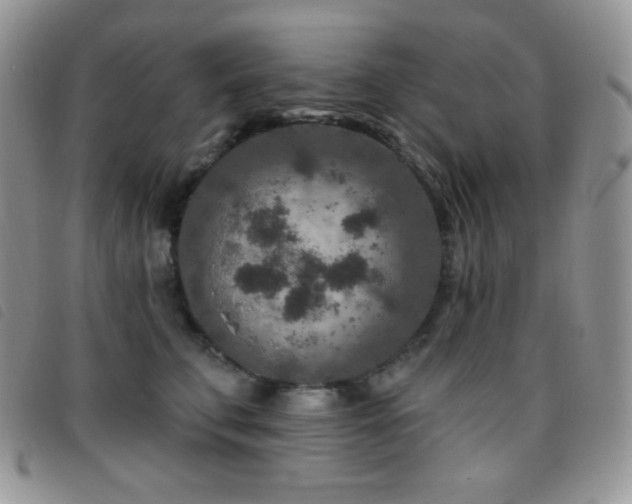 X0000095960711200801111402