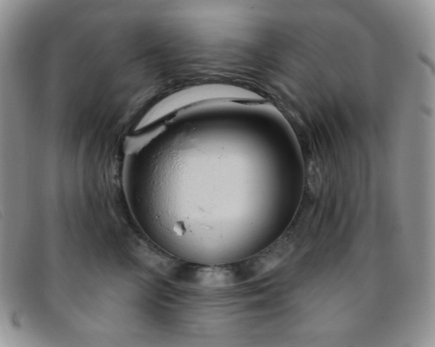 X0000095960714200801111402