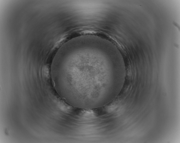 X0000095960715200801111402