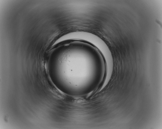 X0000095960716200801111402