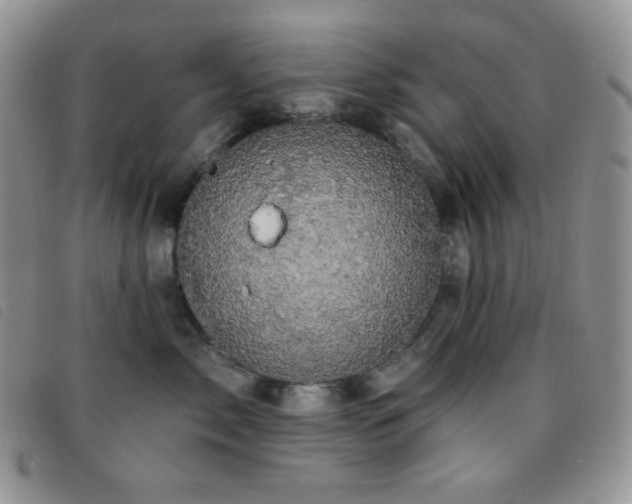 X0000095960717200801111402