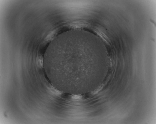 X0000095960718200801111402
