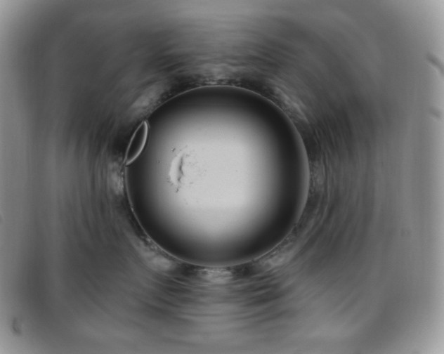 X0000095960719200801111402
