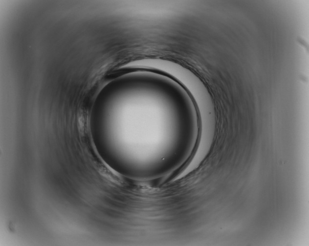 X0000095960720200801111402
