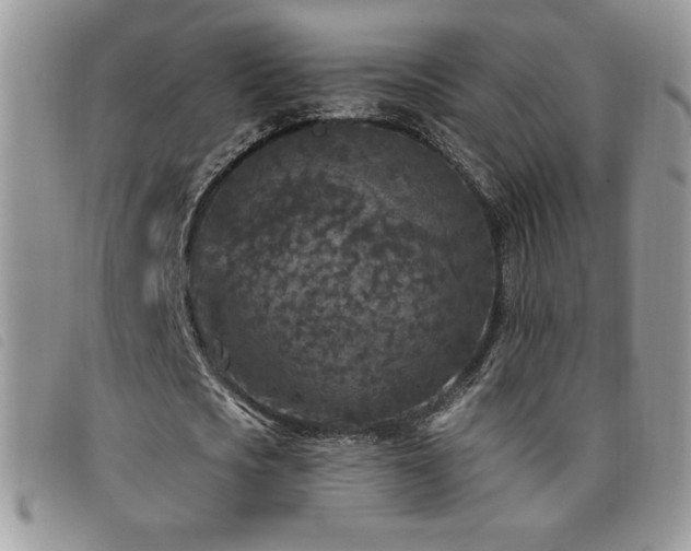 X0000095960721200801111401
