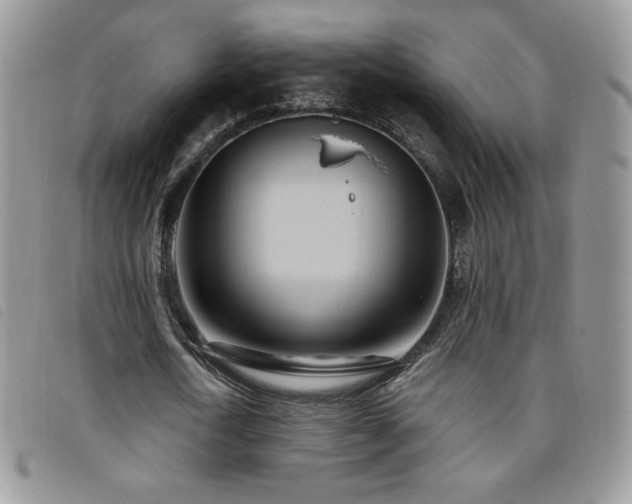 X0000095960722200801111401