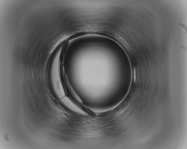 X0000095960723200801111401