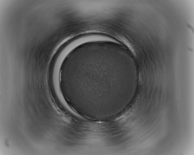 X0000095960724200801111401