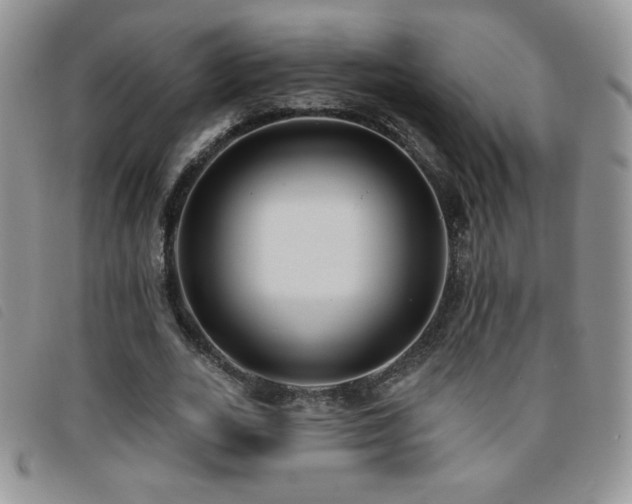 X0000095960727200801111401
