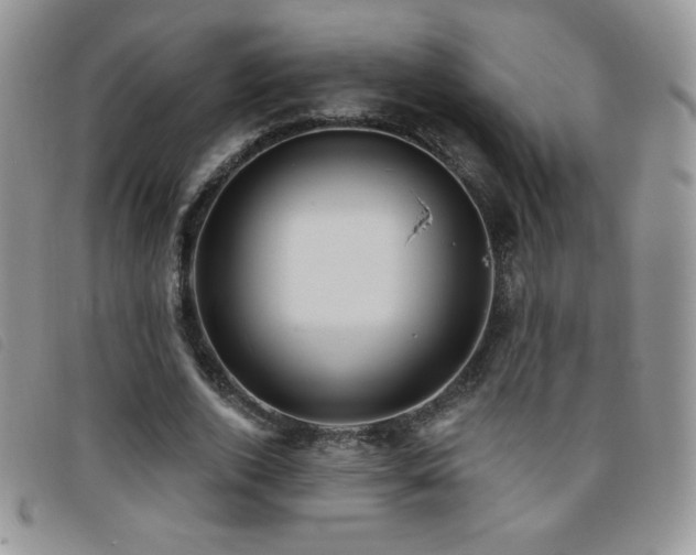 X0000095960728200801111401