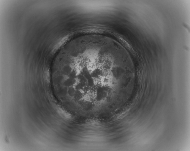 X0000095960729200801111401