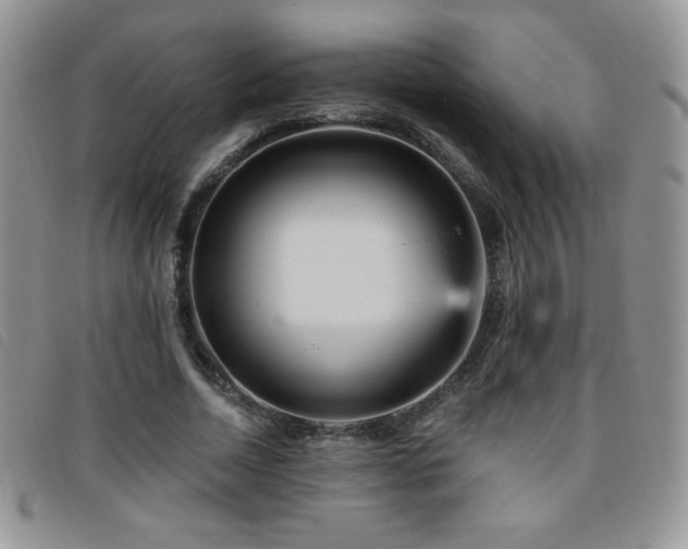 X0000095960730200801111401