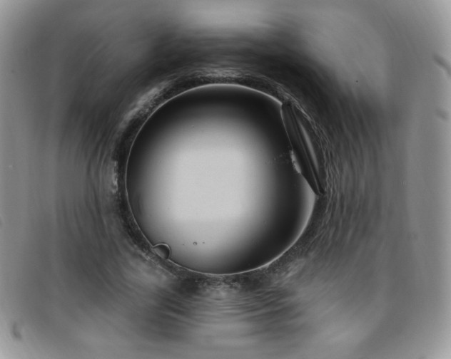 X0000095960731200801111401