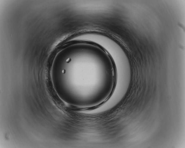 X0000095960732200801111401