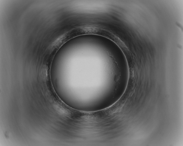 X0000095960733200801111401
