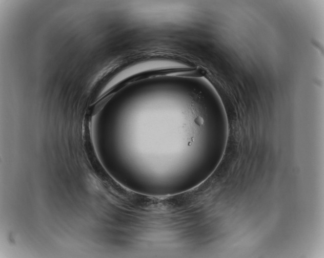 X0000095960735200801111401