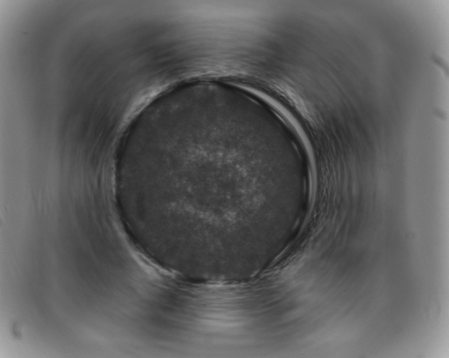 X0000095960736200801111401