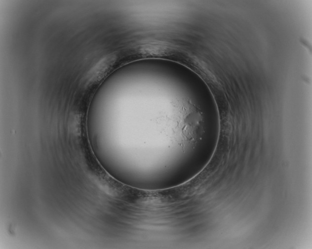 X0000095960738200801111401