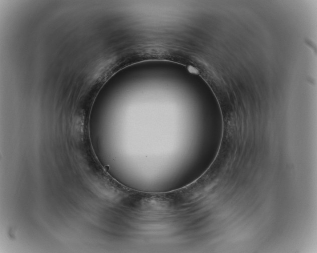 X0000095960739200801111401