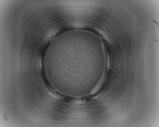 X0000095960740200801111401