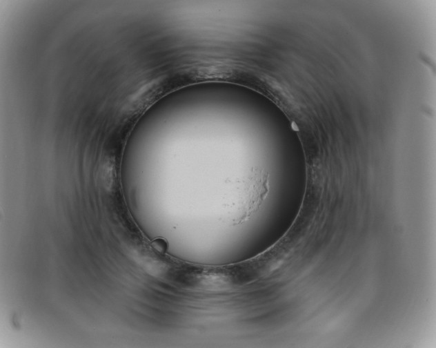 X0000095960741200801111401