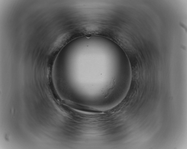 X0000095960742200801111401