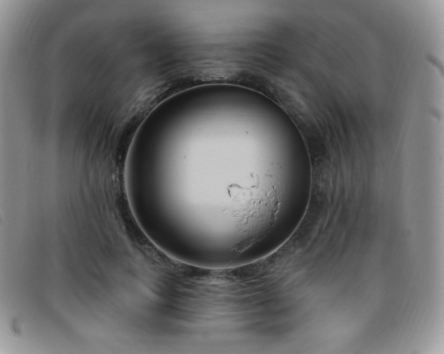 X0000095960743200801111401