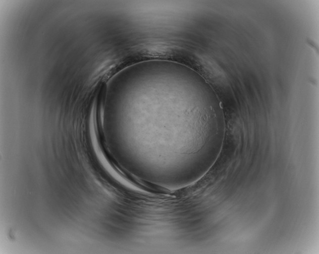 X0000095960744200801111401