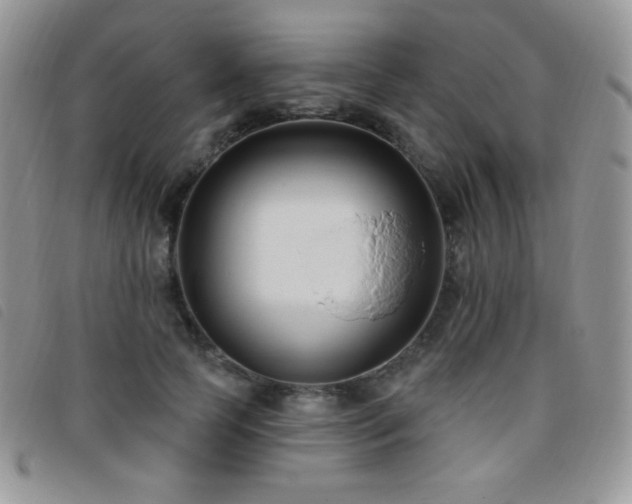 X0000095960745200801111402