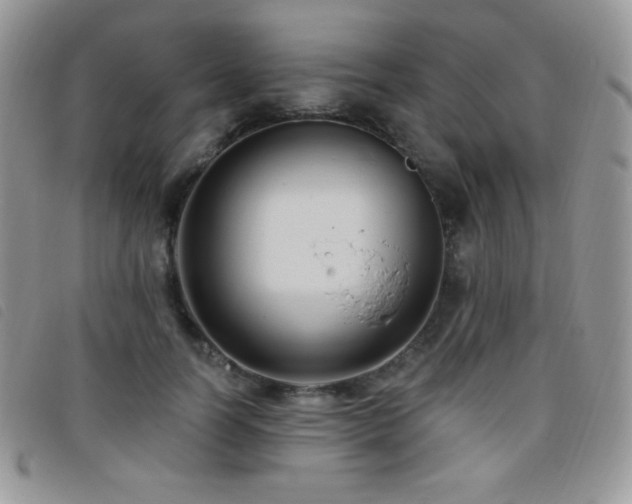 X0000095960746200801111402