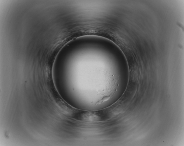 X0000095960747200801111402
